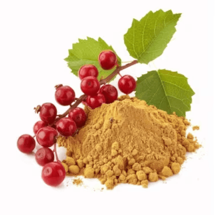 Schisandra fruit extract